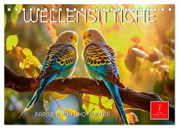 Produktbild: Wellensittiche farbenfroh und munter (Tischkalender 2026 DIN A5 quer), CALVENDO Monatskalender
