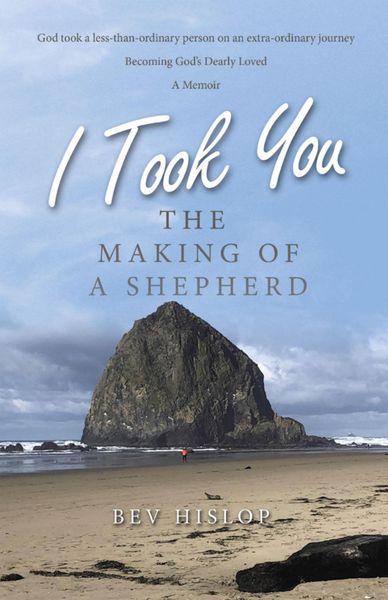 Produktbild: I Took You