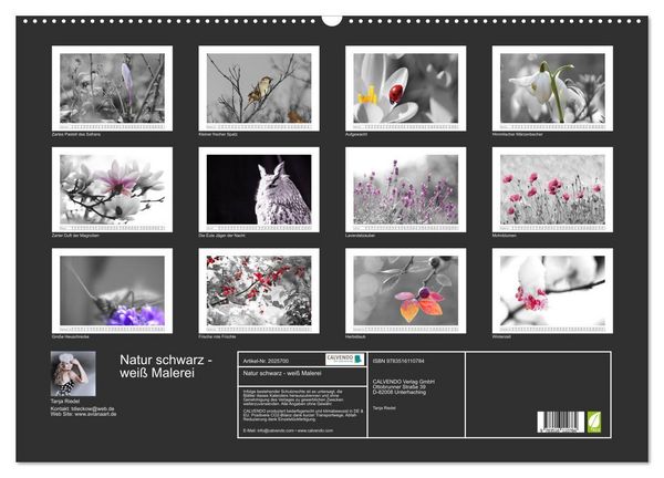 Produktbild: Natur schwarz - wei&szlig; Malerei (Wandkalender 2026 DIN A2 quer), CALVENDO Monatskalender