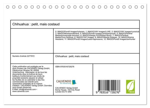 Produktbild: Chihuahua : petit, mais costaud (Calendrier de bureau 2026 DIN A5 vertical), CALVENDO calendrier mensuel