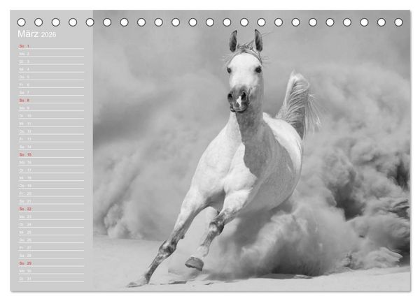 Produktbild: Arabische Pferde (Tischkalender 2026 DIN A5 quer), CALVENDO Monatskalender