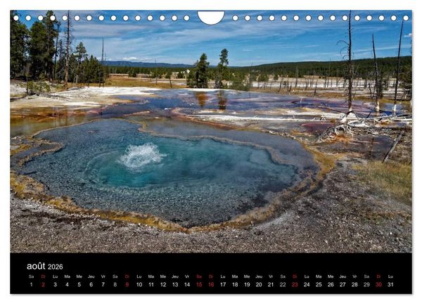 Produktbild: Yellowstone Un grand parc am&eacute;ricain (Calendrier mural 2026 DIN A4 vertical), CALVENDO calendrier mensuel