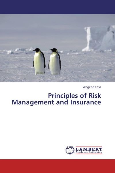 Produktbild: Principles of Risk Management and Insurance