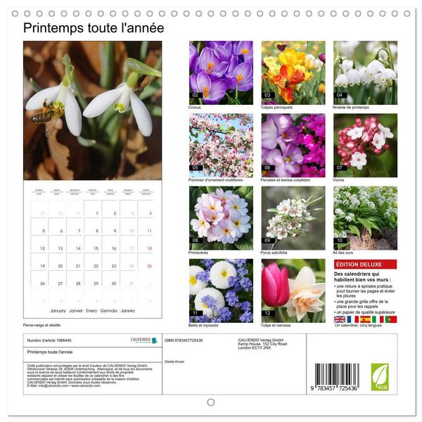 Produktbild: Kruse, G: Printemps toute l'ann&eacute;e (Calendrier mural carr&eacute; 20