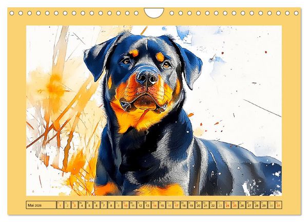 Produktbild: Kraftvolle Rottweiler. Stattliche Begleithunde im Aquarell-Stil (Wandkalender 2026 DIN A4 quer), CALVENDO Monatskalender