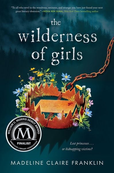 Produktbild: The Wilderness of Girls