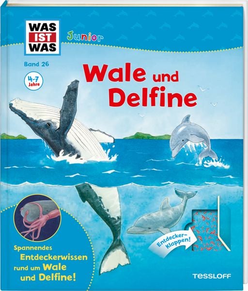 Produktbild: Wale und Delfine / Was ist was junior Bd. 26