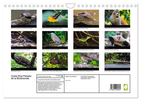 Produktbild: Costa Rica Paradis de la Biodiversit&eacute; (Calendrier mural 2026 DIN A4 vertical), CALVENDO calendrier mensuel
