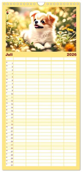 Produktbild: Familienplaner 2026 - Chihuahua-Welpen &ndash; Kleine Wunder mit 5 Spalten (Wandkalender, 21 x 45 cm) CALVENDO