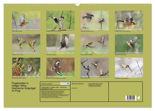 Produktbild: Flugk&uuml;nstler in luftiger H&ouml;he - Heimische Singv&ouml;gel im Flug (Wandkalender 2027 DIN A2 quer), CALVENDO Monatskalender