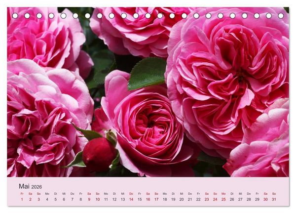 Produktbild: Rosen Reigen im Garten (Tischkalender 2026 DIN A5 quer), CALVENDO Monatskalender