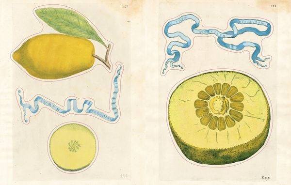 Produktbild: John Derian Sticker Book II