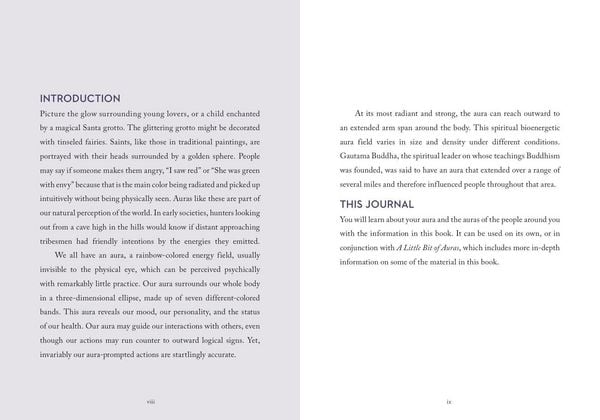 Produktbild: A Little Bit of Auras Guided Journal