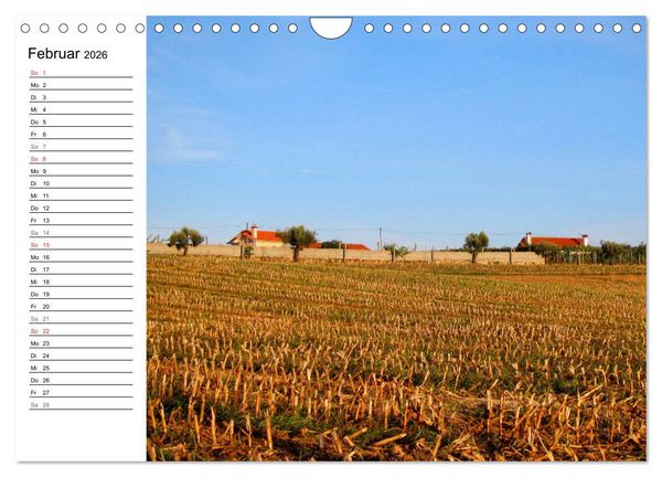 Produktbild: Jakobsweg - Camino Portugues Central (Wandkalender 2026 DIN A4 quer), CALVENDO Monatskalender