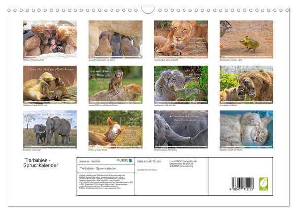 Produktbild: Tierbabies - Spruchkalender (Wandkalender 2026 DIN A3 quer), CALVENDO Monatskalender