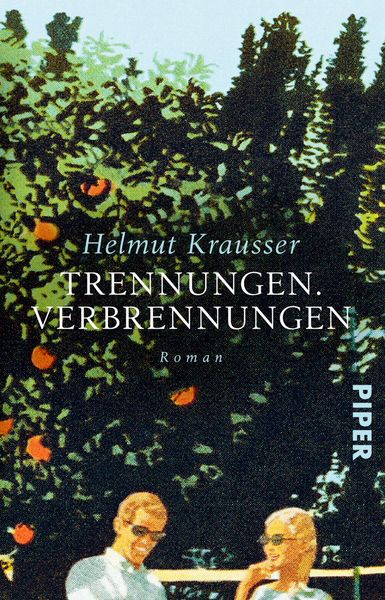 Produktbild: Trennungen. Verbrennungen