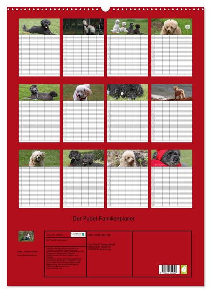 Produktbild: Der Pudel-Familienplaner (Wandkalender 2026 DIN A2 hoch), CALVENDO Monatskalender