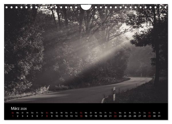 Produktbild: B&auml;ume trees 2026 (Wandkalender 2026 DIN A4 quer), CALVENDO Monatskalender