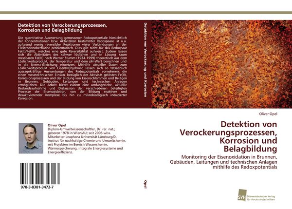 Detektion von Verockerungsprozessen, Korrosion und Belagbildung