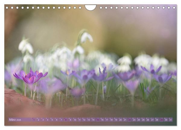 Produktbild: Natursch&ouml;nheiten - mit Bl&uuml;ten und Pflanzen durch das Jahr (Wandkalender 2026 DIN A4 quer), CALVENDO Monatskalender