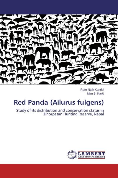 Produktbild: Red Panda (Ailurus fulgens)
