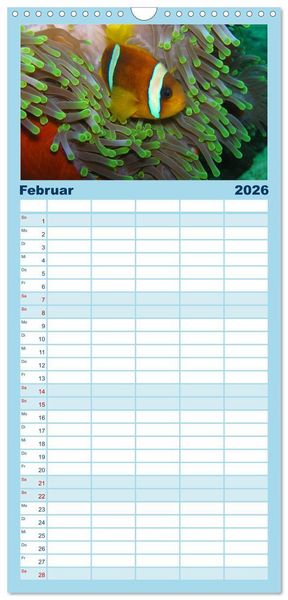 Produktbild: Familienplaner 2026 - Fische und Meerestiere mit 5 Spalten (Wandkalender, 21 x 45 cm) CALVENDO