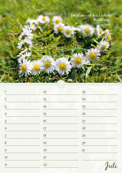 Produktbild: Geburtstagskalender Bl&uuml;tenpracht - immerw&auml;hrend - (21 x 30)