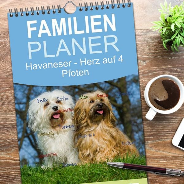 Produktbild: Familienplaner 2026 - Havaneser - Herz auf 4 Pfoten mit 5 Spalten (Wandkalender, 21 x 45 cm) CALVENDO