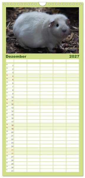 Produktbild: Familienplaner 2027 - Kuschelige Meerschweinchen mit 5 Spalten (Wandkalender, 21 x 45 cm) CALVENDO