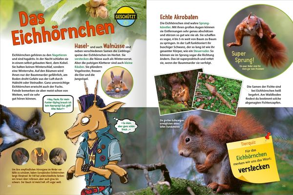 Jetzt verstehe ich die Tiere des Waldes
