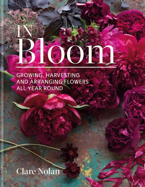 Produktbild: In Bloom