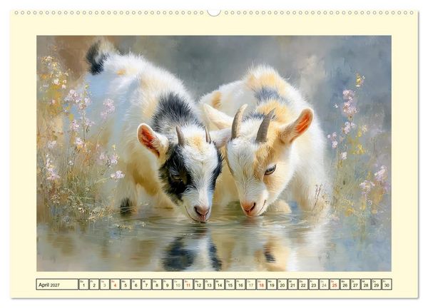 Produktbild: Zwergziegen. Kleine Wirbelwinde im Sonnenschein (hochwertiger Premium Wandkalender 2027 DIN A2 quer), Kunstdruck in Hochglanz