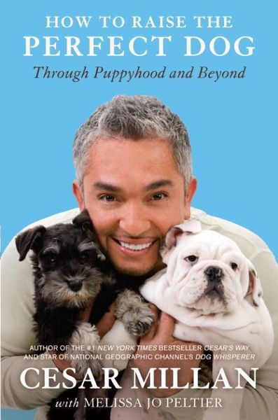 Produktbild: How to Raise the Perfect Dog