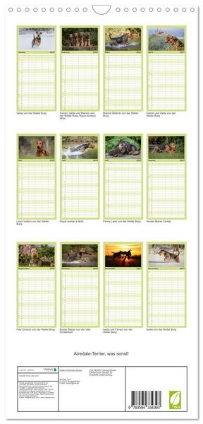 Produktbild: Familienplaner 2027 - Airedale-Terrier, was sonst! mit 5 Spalten (Wandkalender, 21 x 45 cm) CALVENDO