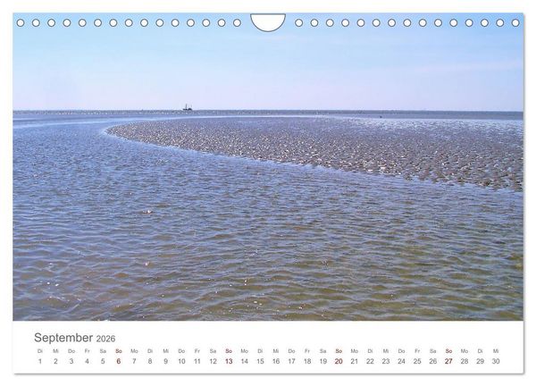 Produktbild: Mein B&uuml;sum - Das wundersch&ouml;ne Nordseeheilbad in Schleswig-Holstein (Wandkalender 2026 DIN A4 quer), CALVENDO Monatskalender