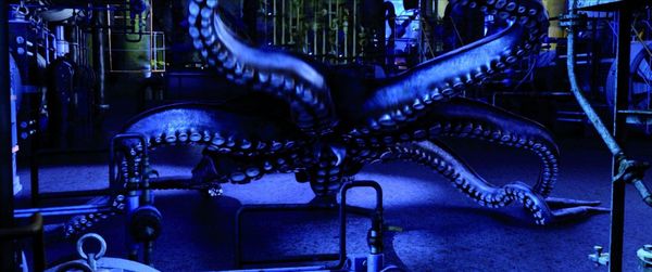 Produktbild: Aquarium of the Dead