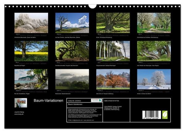 Produktbild: Baum-Variationen (Wandkalender 2026 DIN A3 quer), CALVENDO Monatskalender