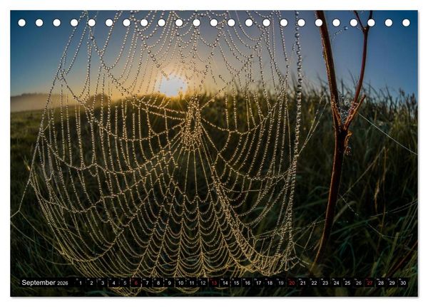 Produktbild: Immer wieder Sonnenschein (Tischkalender 2026 DIN A5 quer), CALVENDO Monatskalender