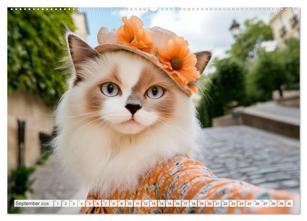 Produktbild: KATZEN-SELFIES Tierische Reiselust (hochwertiger Premium Wandkalender 2026 DIN A2 quer), Kunstdruck in Hochglanz