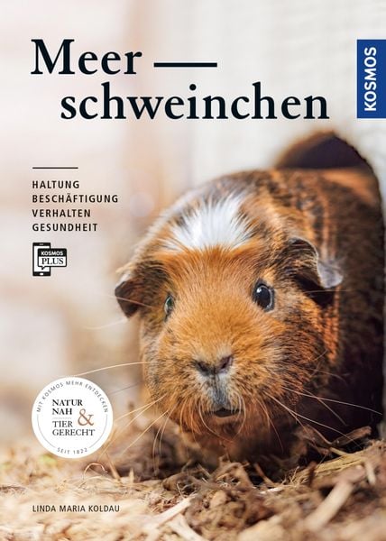 Produktbild: Meerschweinchen