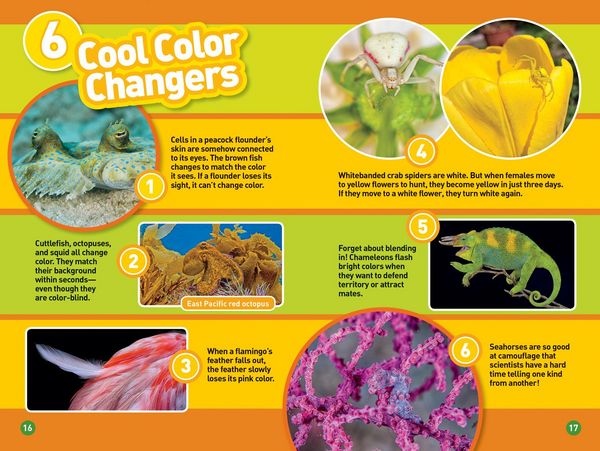 Produktbild: Animals That Change Color (National Geographic Kids Readers, Level 2)