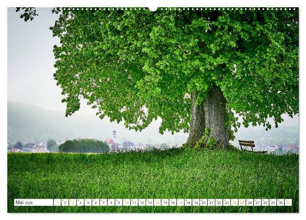 Produktbild: B&auml;ume im Altm&uuml;hltal (Wandkalender 2026 DIN A2 quer), CALVENDO Monatskalender