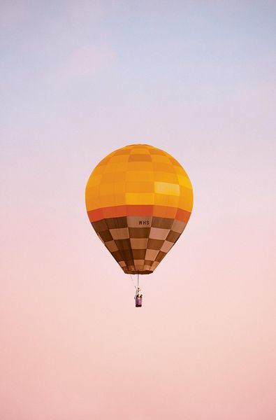 Produktbild: Accidentally Wes Anderson