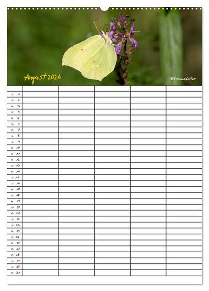 Produktbild: Schmetterlinge in Bayern (hochwertiger Premium Wandkalender 2026 DIN A2 hoch), Kunstdruck in Hochglanz