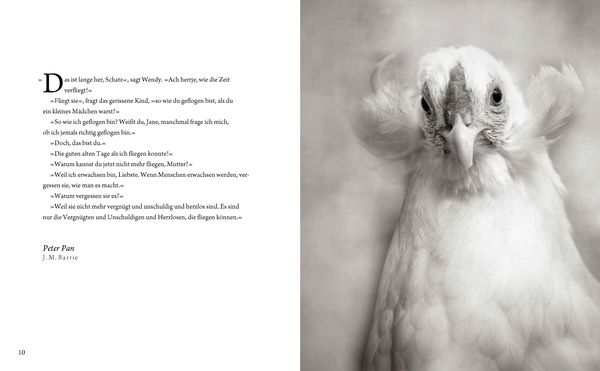Produktbild: Literarische H&uuml;hner