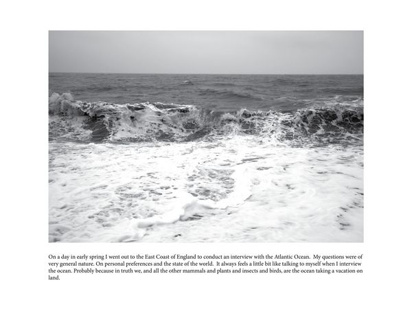 Produktbild: Markus Vater &ndash; Objects of Significance