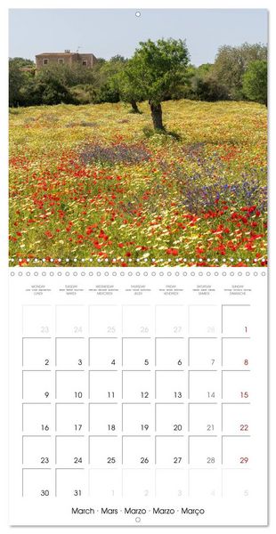 Produktbild: Balearic Islands - Mallorca (Wall Calendar 2026 12 &times; 12 Inch) CALVENDO 12 Month Wall Calendar
