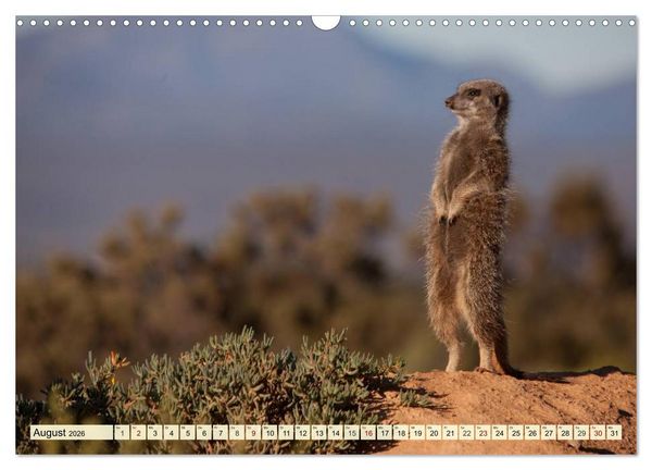 Produktbild: Afrika. Botswanas wundervolle Tierwelt (Wandkalender 2026 DIN A3 quer), CALVENDO Monatskalender