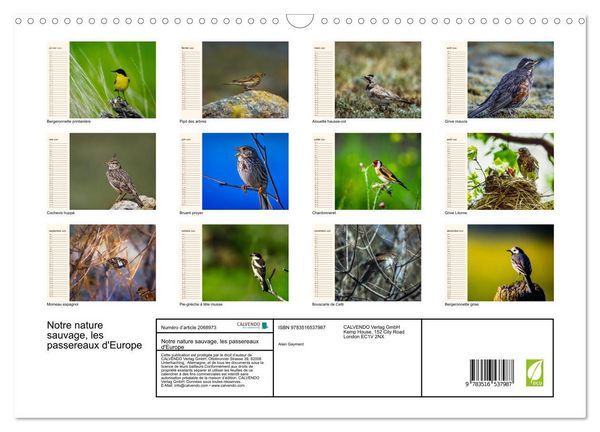 Produktbild: Notre nature sauvage, les passereaux d'Europe (Calendrier mural 2026 DIN A3 vertical), CALVENDO calendrier mensuel