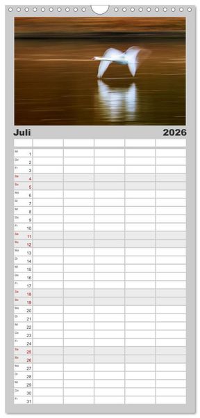 Produktbild: Familienplaner 2026 - Der H&ouml;ckerschwan elegant und stolz mit 5 Spalten (Wandkalender, 21 x 45 cm) CALVENDO